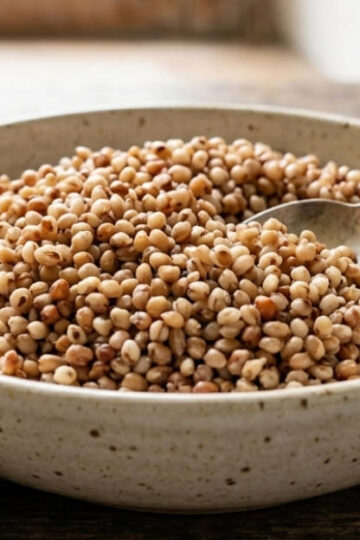 sorgo