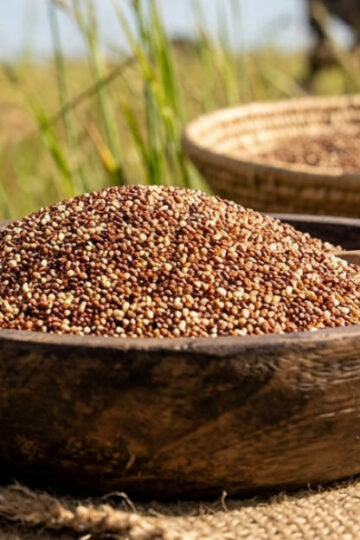teff